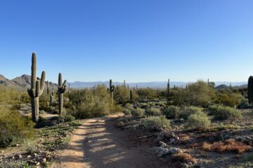 A trail in San Tan Mountain Regional Park with the Superstition Mountains on the horizon.