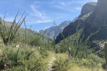 Santa Catalina Mountain